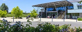 Image Piscine Olympique