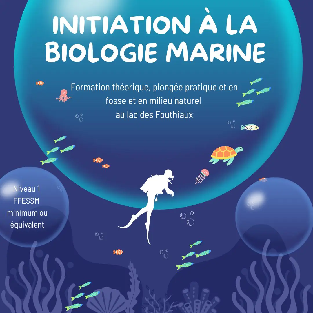 Initiation en biologie sous-marine
